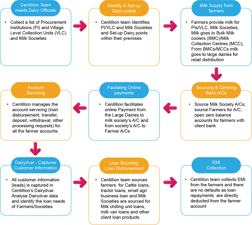 Dairy Channel Workflow-new